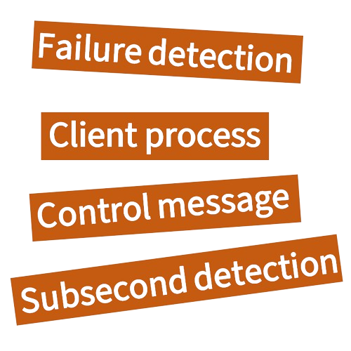 Bidirectional Forwarding Detection