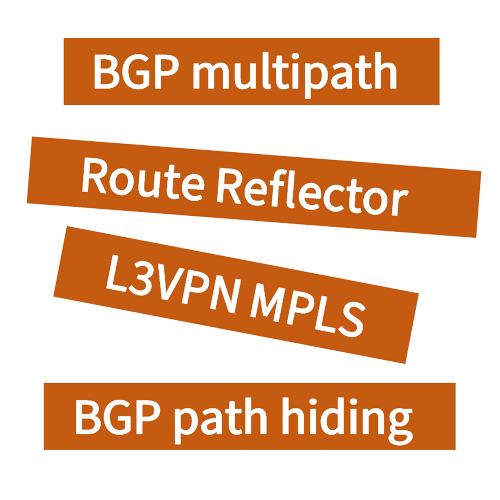 BGP Additional Paths
