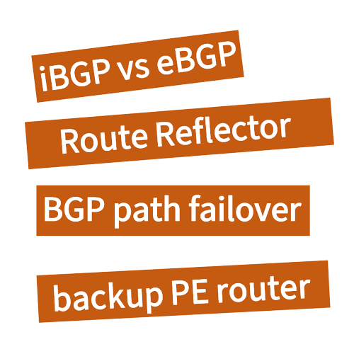 BGP Best External