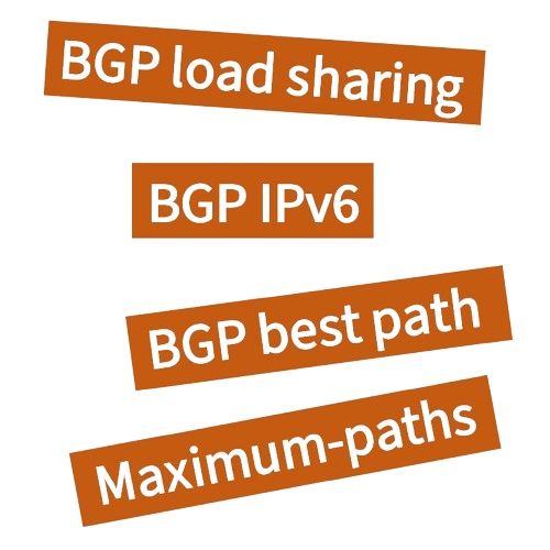 BGP Multipath