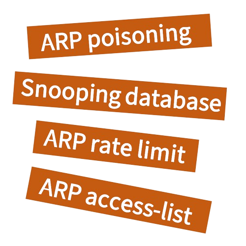 Dynamic ARP Inspection (DAI)