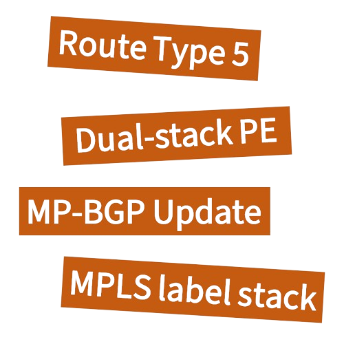 MPLS-based EVPN IRB for IPv6