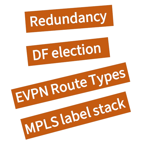 EVPN Multihoming