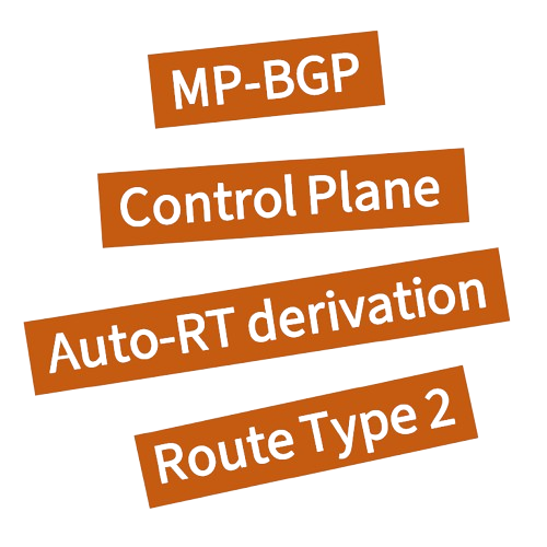 EVPN-VXLAN L2VNI