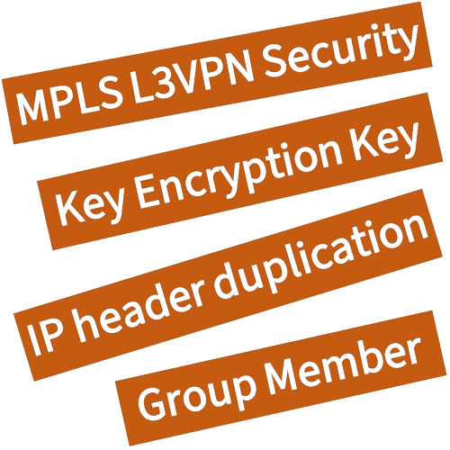 GETVPN with MPLS L3VPN