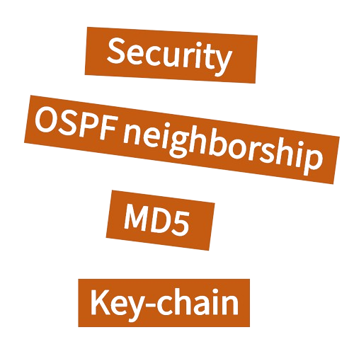 Unicast Reverse Path Forwarding