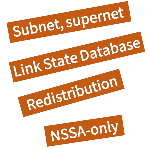 OSPF Route Summarization