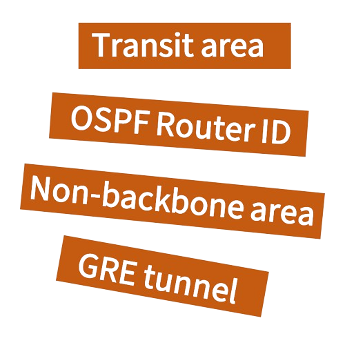 OSPF Virtual Link