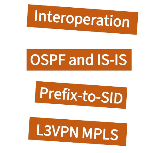 Segment Routing Mapping Server