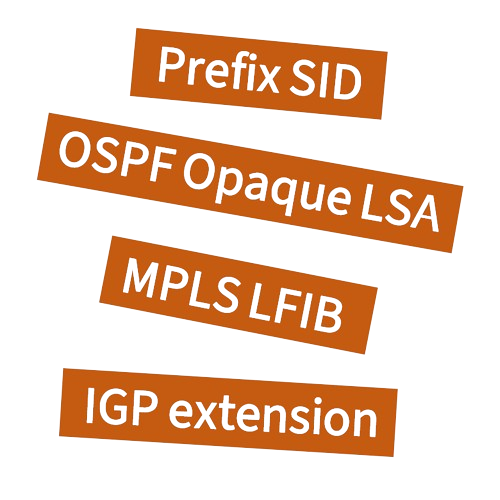 Segment Routing with OSPF