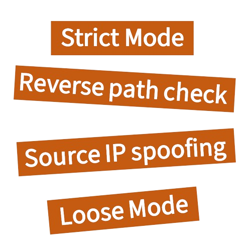 Unicast Reverse Path Forwarding
