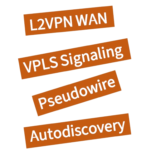 VPLS BGP Signaling