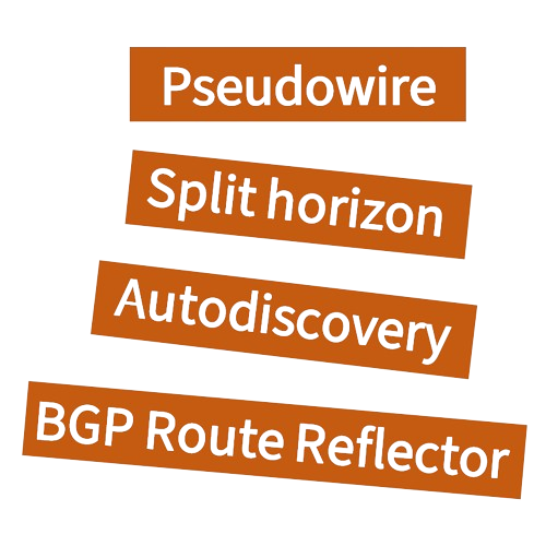 Virtual Private LAN Service