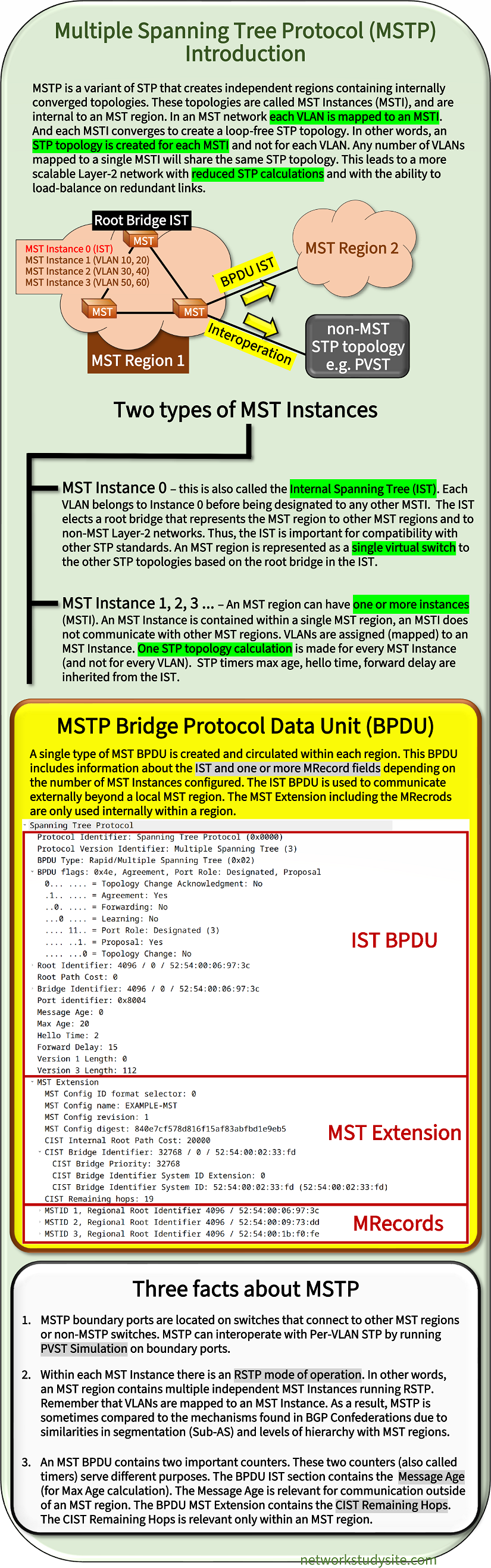Infographic about the Multiple Spanning Tree Protocol with a summary about the main concepts and terminology